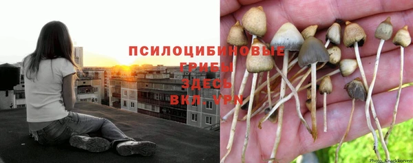 a pvp Арсеньев