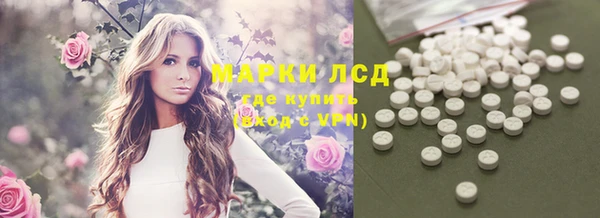 apvp Аркадак
