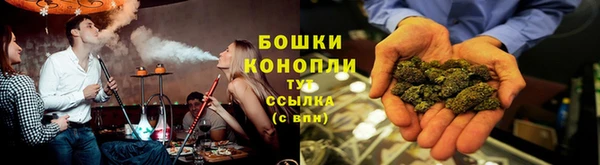 apvp Аркадак