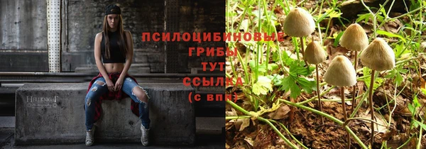 твердый Алексеевка
