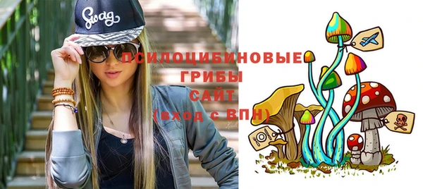 a pvp Арсеньев