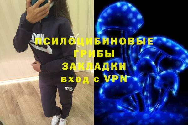 apvp Аркадак